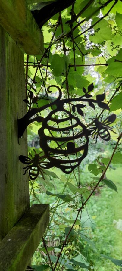 Earthsounds Country Cottage Taumarunui Ngoại thất bức ảnh
