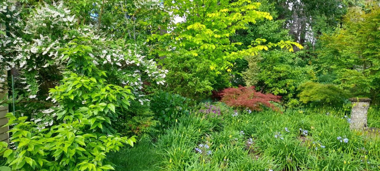 Earthsounds Country Cottage Taumarunui Ngoại thất bức ảnh