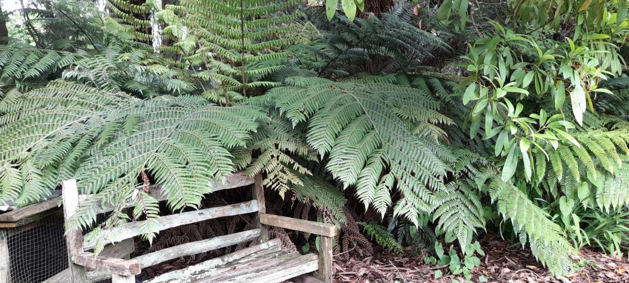 Earthsounds Country Cottage Taumarunui Ngoại thất bức ảnh