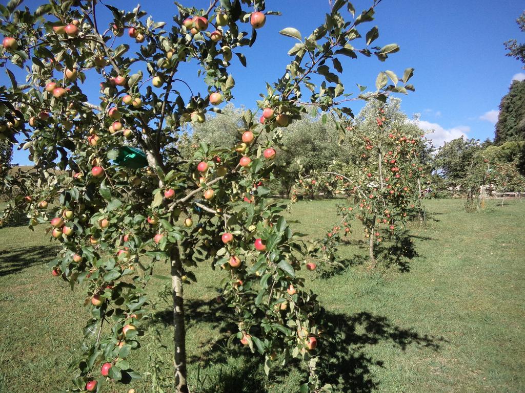 Earthsounds Country Cottage Taumarunui Ngoại thất bức ảnh