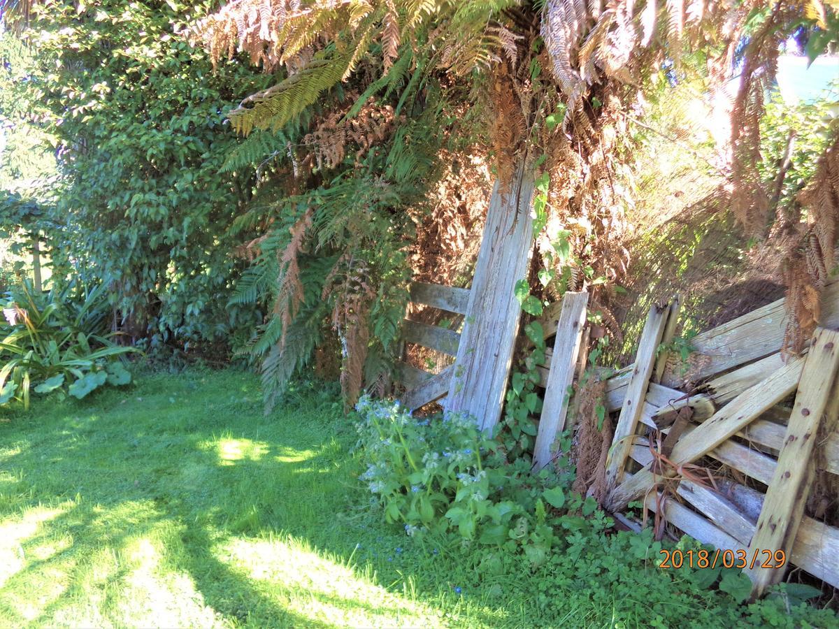 Earthsounds Country Cottage Taumarunui Ngoại thất bức ảnh